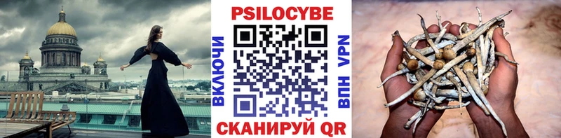 Галлюциногенные грибы ЛСД  shop состав  Богородск  где продают  